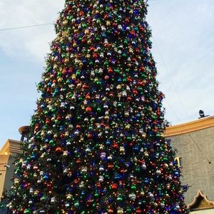 Meet your Posher, Lisbeth